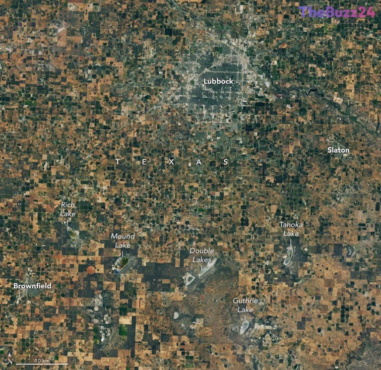 Texas Cotton Farmers Face Existential Crisis as Historic Drought Drains Aquifers