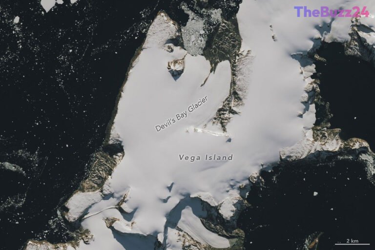 Antarctica’s ‘Grinning Skull’ Island Reveals Accelerating Ice Melt